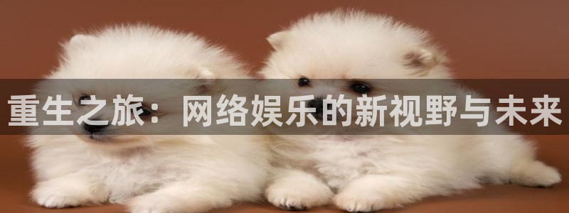 彩神vii官方：重生之旅：网络娱乐的新视野与未来