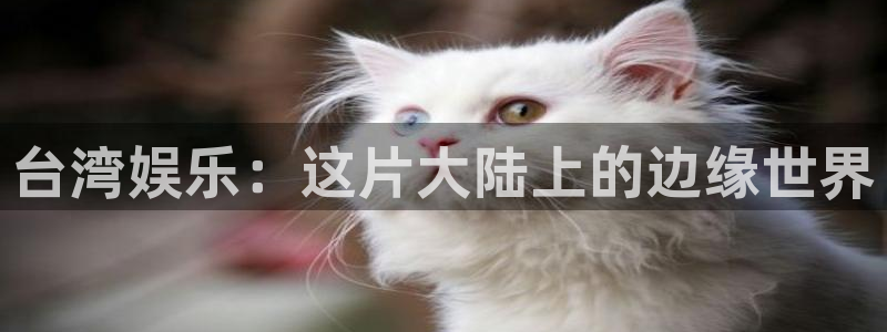 彩神vii官方：台湾娱乐：这片大陆上的边缘世界