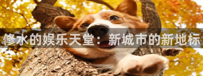彩神vii官方：修水的娱乐天堂：新城市的新地标