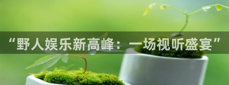 彩神vii官方