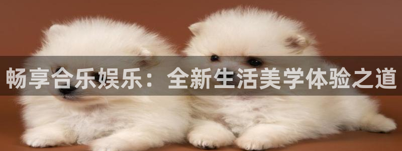 彩神vii官方：畅享合乐娱乐：全新生活美学体验之道